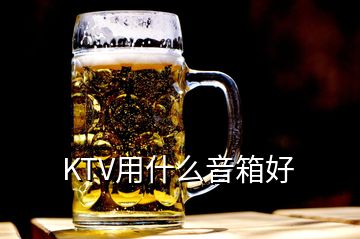 KTV用什么音箱好