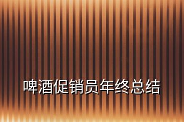 啤酒促銷員年終總結