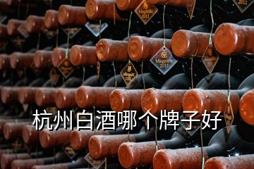 杭州白酒哪個(gè)牌子好