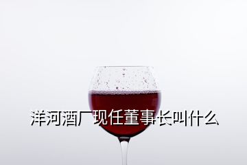 洋河酒廠現(xiàn)任董事長(zhǎng)叫什么