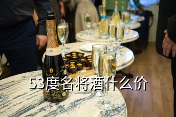 53度名將酒什么價(jià)