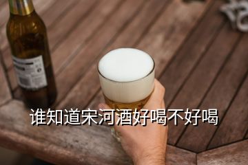 誰知道宋河酒好喝不好喝