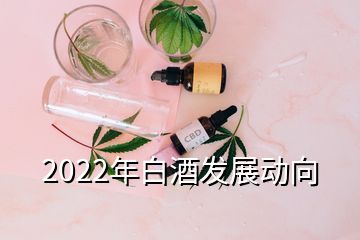 2022年白酒發(fā)展動向