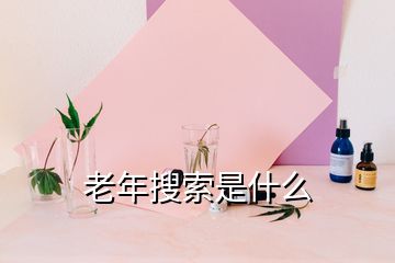 老年搜索是什么