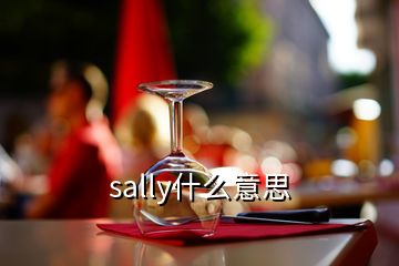 sally什么意思