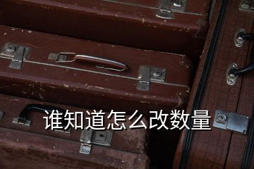 誰知道怎么改數(shù)量