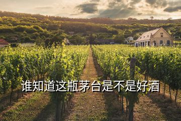誰知道這瓶茅臺(tái)是不是好酒
