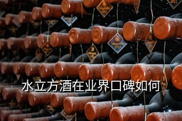 水立方酒在業(yè)界口碑如何