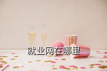 就業(yè)網(wǎng)在哪里