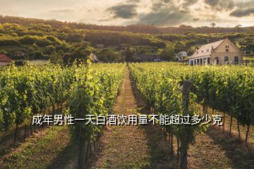 成年男性一天白酒飲用量不能超過(guò)多少克
