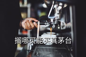 擱哪買(mǎi)能買(mǎi)真茅臺(tái)