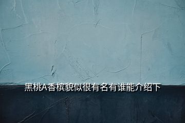 黑桃A香檳貌似很有名有誰能介紹下