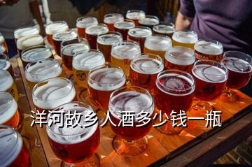 洋河故鄉(xiāng)人酒多少錢(qián)一瓶