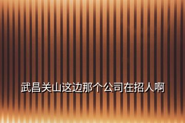 武昌關(guān)山這邊那個(gè)公司在招人啊