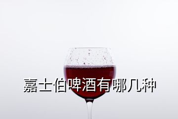 嘉士伯啤酒有哪幾種