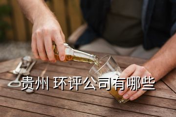 貴州 環(huán)評(píng)公司有哪些