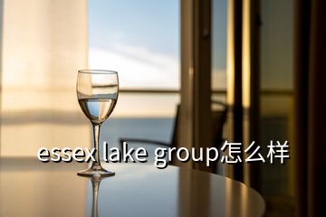 essex lake group怎么樣