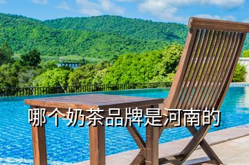 哪個(gè)奶茶品牌是河南的