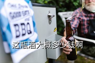 這瓶酒大概多少錢啊