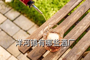 洋河鎮(zhèn)有哪些酒廠