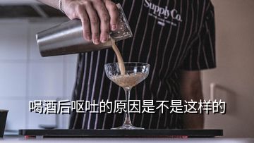 喝酒后嘔吐的原因是不是這樣的