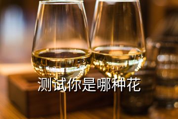 測(cè)試你是哪種花