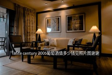 lafite century 2005葡萄酒值多少錢見照片圖謝謝