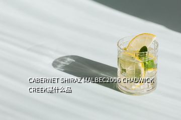 CABERNET SHIRAZ MALBEC2006 CHADWICK CREEK是什么品