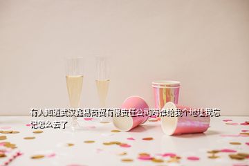 有人知道武漢鑫易商貿(mào)有限責(zé)任公司嗎誰(shuí)給我個(gè)地址我忘記怎么去了