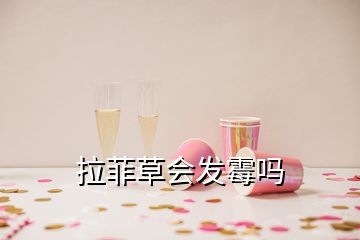 拉菲草會(huì)發(fā)霉嗎