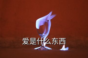 愛是什么東西