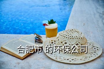 合肥市 的環(huán)保公司