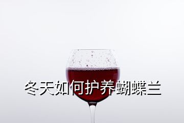 冬天如何護養(yǎng)蝴蝶蘭