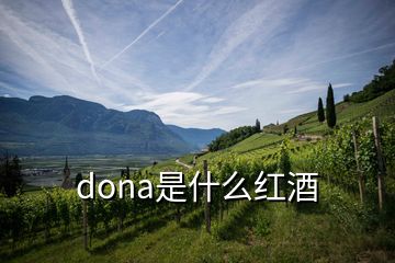 dona是什么紅酒