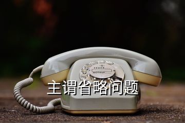 主謂省略問(wèn)題