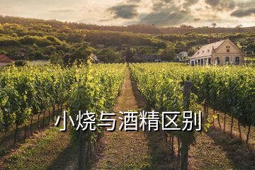 小燒與酒精區(qū)別