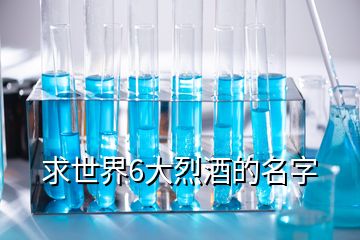 求世界6大烈酒的名字