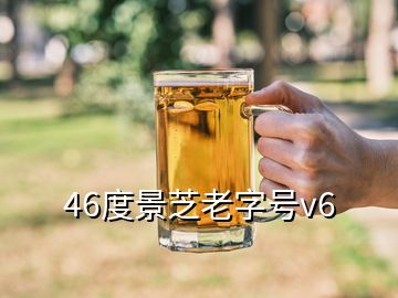 46度景芝老字號v6