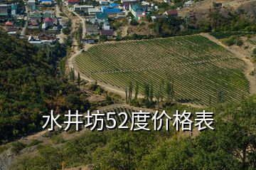水井坊52度價格表
