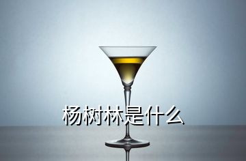 楊樹(shù)林是什么