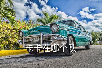 卡卡在哪個(gè)隊(duì)
