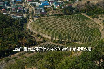 白酒銷售行業(yè)存在什么樣的問題和不足如何改進(jìn)