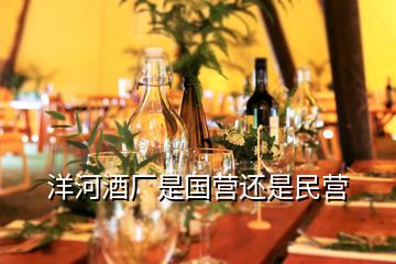 洋河酒廠是國營還是民營