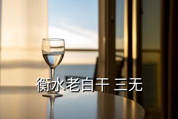衡水老白干 三無