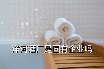 洋河酒廠是國(guó)有企業(yè)嗎