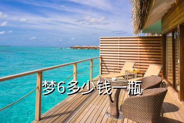 夢(mèng)6多少錢一瓶