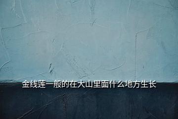 金線蓮一般的在大山里面什么地方生長(zhǎng)