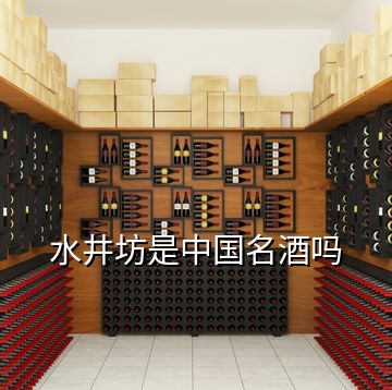 水井坊是中國名酒嗎