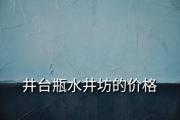 井臺瓶水井坊的價格