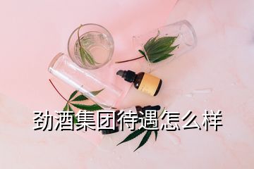 勁酒集團待遇怎么樣